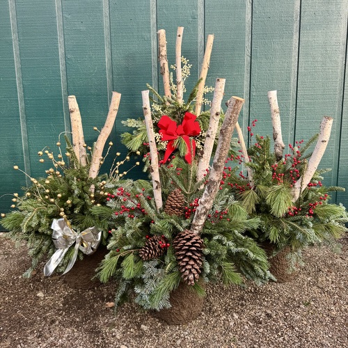 Deluxe Winter Porch Pot with Birch Logs from Casey's Garden Shop & Florist, Bloomington Flower Shop