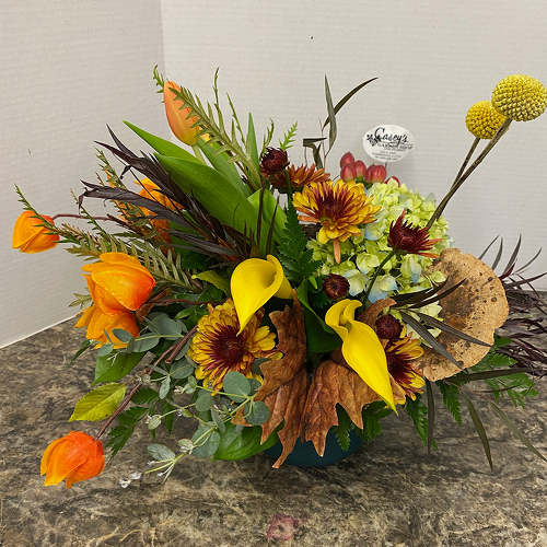 Modern Harvest from Casey's Garden Shop & Florist, Bloomington Flower Shop