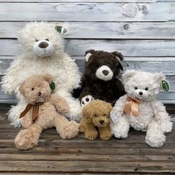 Cuddly Plush Animals from Casey's Garden Shop & Florist, Bloomington Flower Shop