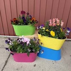 Spring Awakening Planter from Casey's Garden Shop & Florist, Bloomington Flower Shop