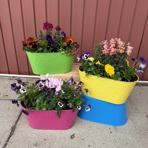 Spring Awakening Planter from Casey's Garden Shop & Florist, Bloomington Flower Shop
