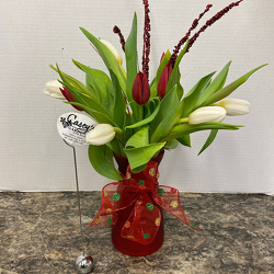 Tulip Vibe from Casey's Garden Shop & Florist, Bloomington Flower Shop