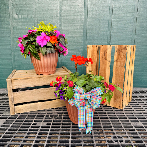 10” Porch Pot  from Casey's Garden Shop & Florist, Bloomington Flower Shop