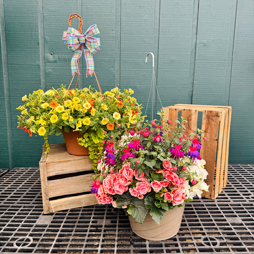 12” Mixed Annual Hanging Basket  from Casey's Garden Shop & Florist, Bloomington Flower Shop