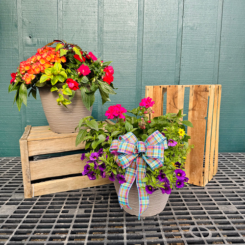 12” Porch Pot  from Casey's Garden Shop & Florist, Bloomington Flower Shop