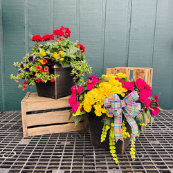 12” Square Porch Pot  from Casey's Garden Shop & Florist, Bloomington Flower Shop