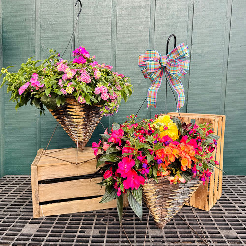14” Woven Cone Hanging Basket  from Casey's Garden Shop & Florist, Bloomington Flower Shop