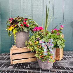 14” Porch Pot  from Casey's Garden Shop & Florist, Bloomington Flower Shop