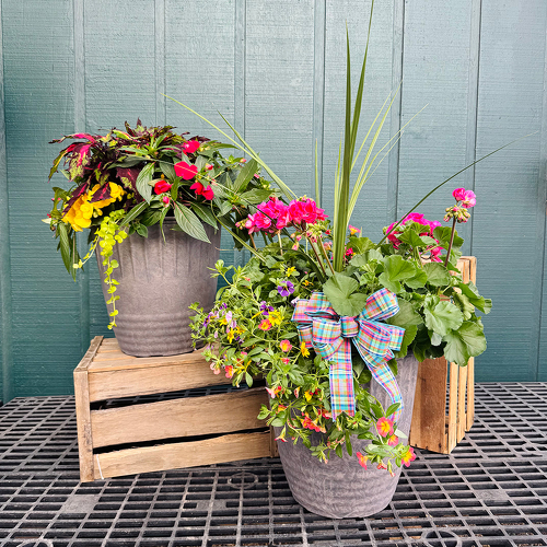 14” Porch Pot  from Casey's Garden Shop & Florist, Bloomington Flower Shop