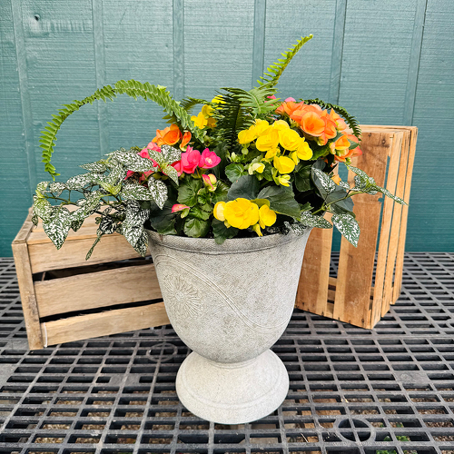 14” Urn Planter  from Casey's Garden Shop & Florist, Bloomington Flower Shop