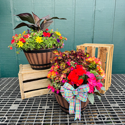 15” Whiskey Barrel Planter  from Casey's Garden Shop & Florist, Bloomington Flower Shop