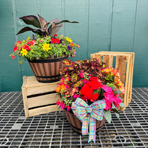 15” Whiskey Barrel Planter  from Casey's Garden Shop & Florist, Bloomington Flower Shop