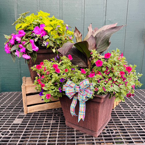 17” Square Plastic Porch Pot  from Casey's Garden Shop & Florist, Bloomington Flower Shop