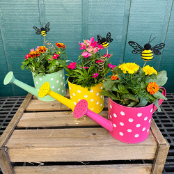 Bee Happy from Casey's Garden Shop & Florist, Bloomington Flower Shop