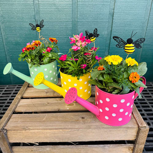 Bee Happy from Casey's Garden Shop & Florist, Bloomington Flower Shop