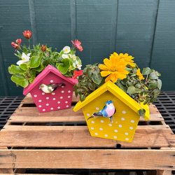 Birdhouse Planter  from Casey's Garden Shop & Florist, Bloomington Flower Shop