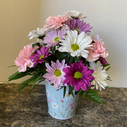 Daisy Days from Casey's Garden Shop & Florist, Bloomington Flower Shop