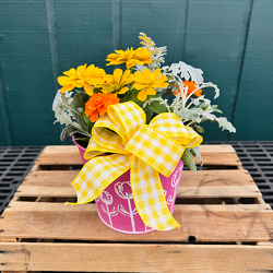 Happy Days Planter from Casey's Garden Shop & Florist, Bloomington Flower Shop