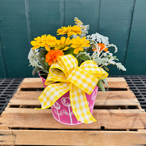 Happy Days Planter from Casey's Garden Shop & Florist, Bloomington Flower Shop