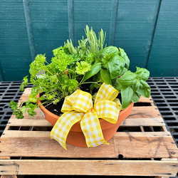 Herb Garden  from Casey's Garden Shop & Florist, Bloomington Flower Shop