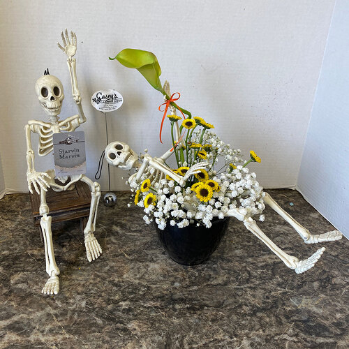 Starvin' Marvin from Casey's Garden Shop & Florist, Bloomington Flower Shop