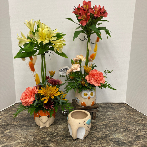 Playful Pals from Casey's Garden Shop & Florist, Bloomington Flower Shop