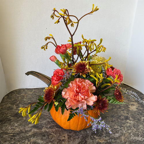 Pumpkin Patch from Casey's Garden Shop & Florist, Bloomington Flower Shop