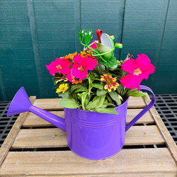 Ribbit from Casey's Garden Shop & Florist, Bloomington Flower Shop