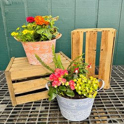 Rustic Flower from Casey's Garden Shop & Florist, Bloomington Flower Shop
