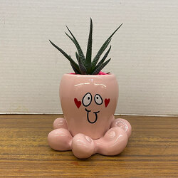 So Many Hugs from Casey's Garden Shop & Florist, Bloomington Flower Shop