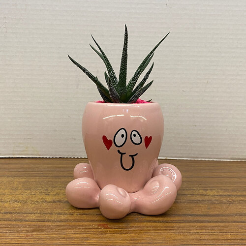 So Many Hugs from Casey's Garden Shop & Florist, Bloomington Flower Shop