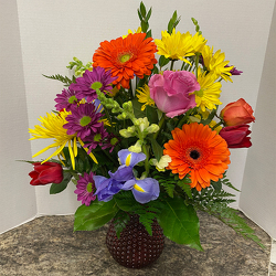 Sunny Days from Casey's Garden Shop & Florist, Bloomington Flower Shop