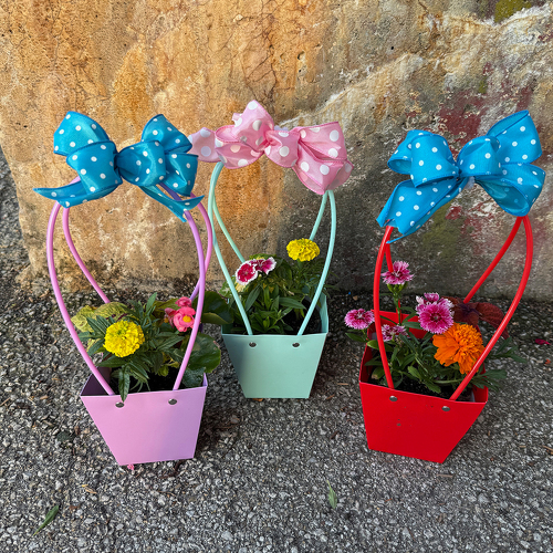 Sweet Spring Basket from Casey's Garden Shop & Florist, Bloomington Flower Shop