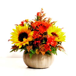 Autumn Harvest from Casey's Garden Shop & Florist, Bloomington Flower Shop