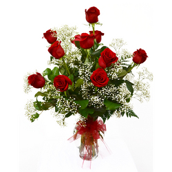 One Dozen Red Roses from Casey's Garden Shop & Florist, Bloomington Flower Shop