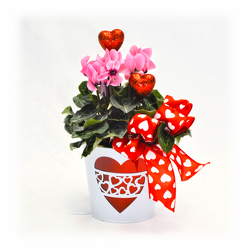 Love In Bloom from Casey's Garden Shop & Florist, Bloomington Flower Shop