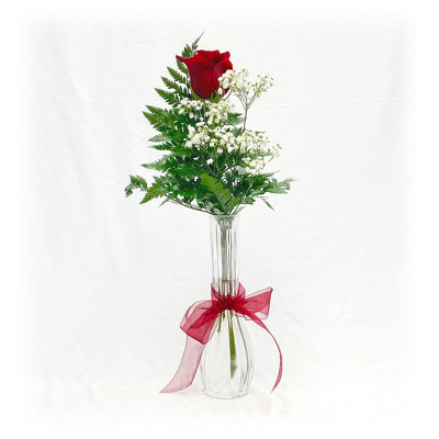 Red Rose Bud Vase from Casey's Garden Shop & Florist, Bloomington Flower Shop